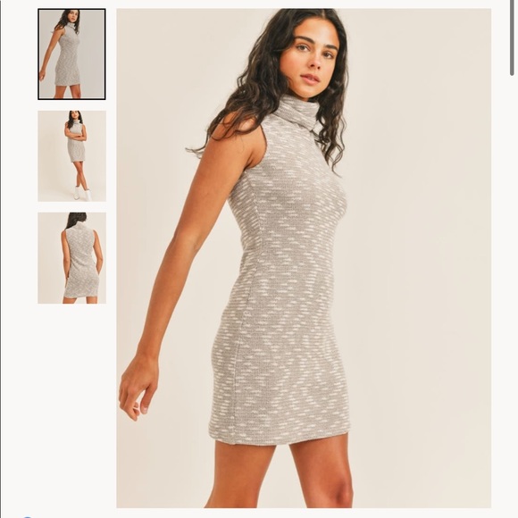 Sadie & Sage Sweet Citadel Turtlel Neck Dress in Oatmeal - Medium - Picture 1 of 8